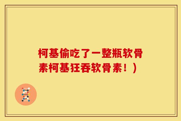 柯基偷吃了一整瓶软骨素柯基狂吞软骨素！)