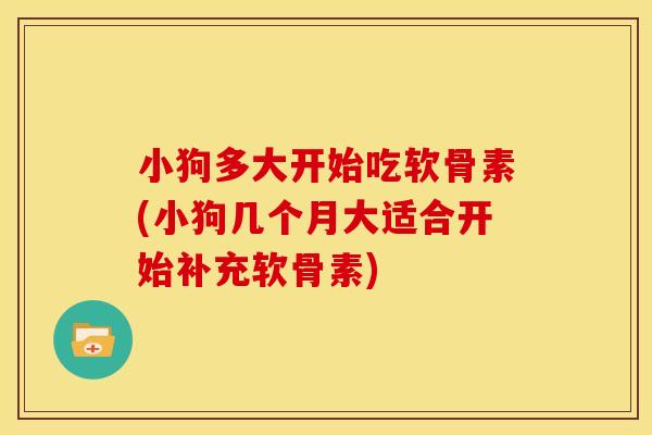 小狗多大开始吃软骨素(小狗几个月大适合开始补充软骨素)
