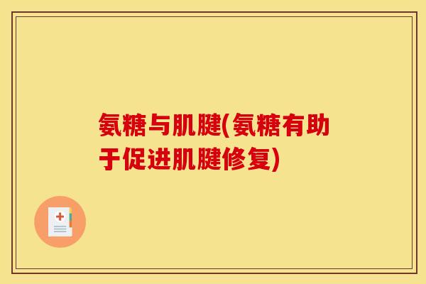 氨糖与肌腱(氨糖有助于促进肌腱修复)