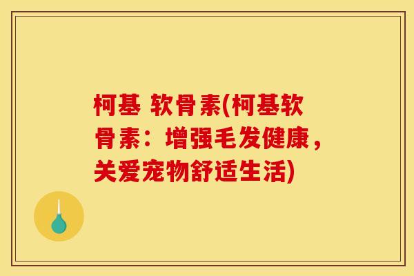 柯基 软骨素(柯基软骨素：增强毛发健康，关爱宠物舒适生活)