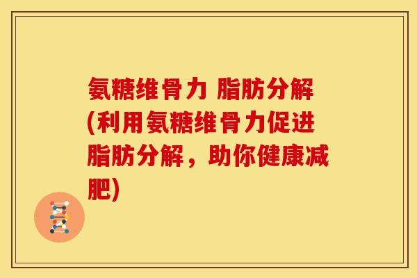 氨糖维骨力 脂肪分解(利用氨糖维骨力促进脂肪分解，助你健康减肥)