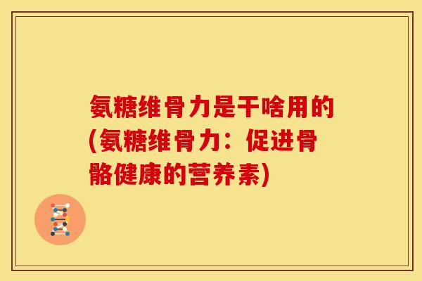 氨糖维骨力是干啥用的(氨糖维骨力：促进骨骼健康的营养素)