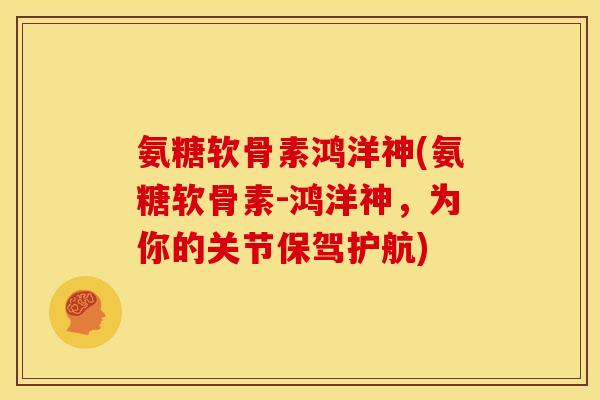氨糖软骨素鸿洋神(氨糖软骨素-鸿洋神，为你的关节保驾护航)
