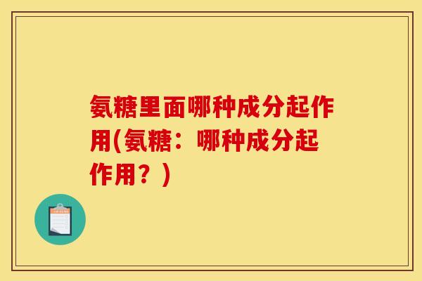 氨糖里面哪种成分起作用(氨糖：哪种成分起作用？)