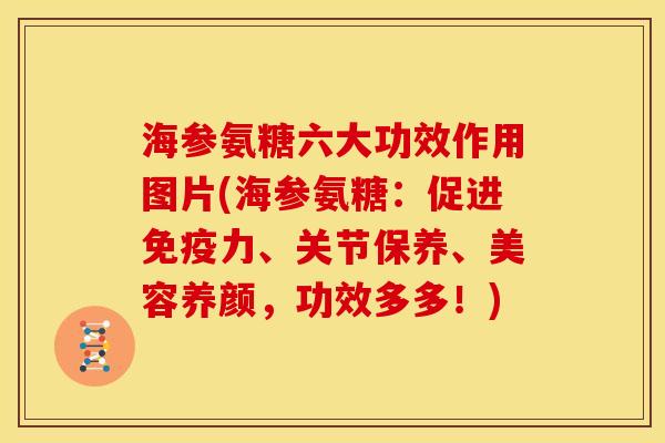 海参氨糖六大功效作用图片(海参氨糖：促进免疫力、关节保养、美容养颜，功效多多！)