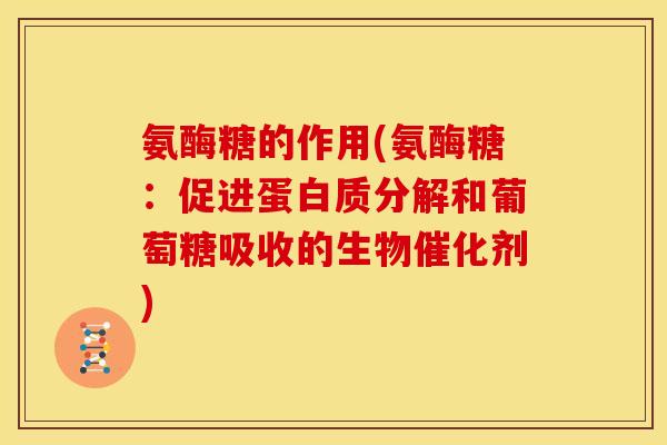 氨酶糖的作用(氨酶糖：促进蛋白质分解和葡萄糖吸收的生物催化剂)