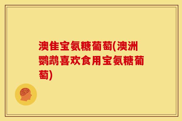 澳隹宝氨糖葡萄(澳洲鹦鹉喜欢食用宝氨糖葡萄)
