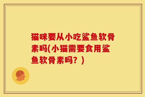 猫咪要从小吃鲨鱼软骨素吗(小猫需要食用鲨鱼软骨素吗？)