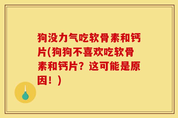 狗没力气吃软骨素和钙片(狗狗不喜欢吃软骨素和钙片？这可能是原因！)