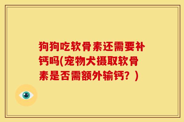 狗狗吃软骨素还需要补钙吗(宠物犬摄取软骨素是否需额外输钙？)