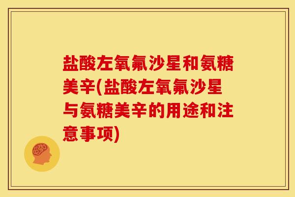 盐酸左氧氟沙星和氨糖美辛(盐酸左氧氟沙星与氨糖美辛的用途和注意事项)