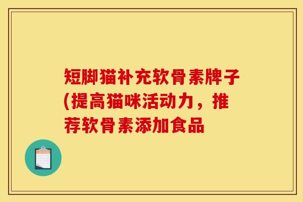 短脚猫补充软骨素牌子(提高猫咪活动力，推荐软骨素添加食品