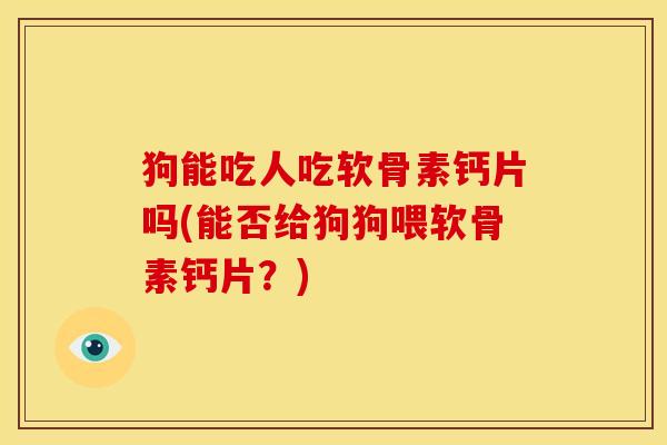 狗能吃人吃软骨素钙片吗(能否给狗狗喂软骨素钙片？)