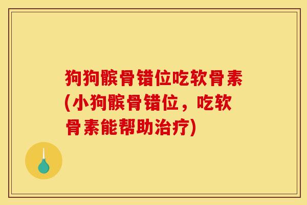 狗狗髌骨错位吃软骨素(小狗髌骨错位，吃软骨素能帮助治疗)