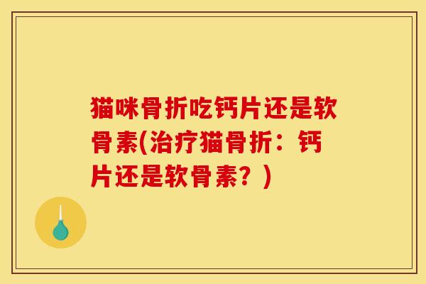 猫咪骨折吃钙片还是软骨素(治疗猫骨折：钙片还是软骨素？)