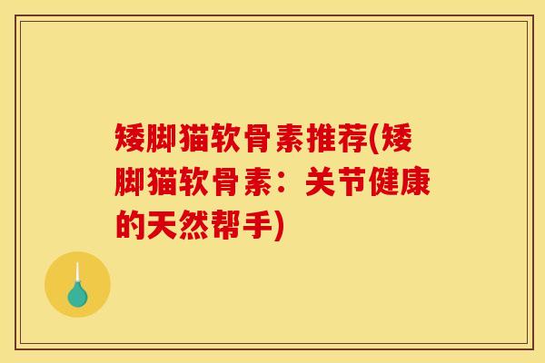 矮脚猫软骨素推荐(矮脚猫软骨素：关节健康的天然帮手)