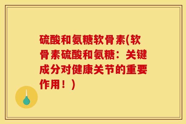 硫酸和氨糖软骨素(软骨素硫酸和氨糖：关键成分对健康关节的重要作用！)