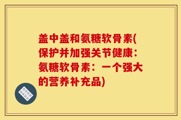 盖中盖和氨糖软骨素(保护并加强关节健康：氨糖软骨素：一个强大的营养补充品)