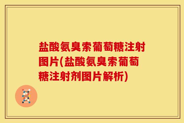 盐酸氨臭索葡萄糖注射图片(盐酸氨臭索葡萄糖注射剂图片解析)