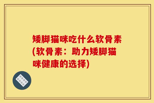 矮脚猫咪吃什么软骨素(软骨素：助力矮脚猫咪健康的选择)
