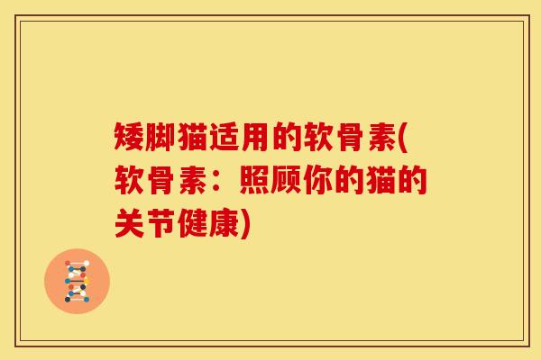 矮脚猫适用的软骨素(软骨素：照顾你的猫的关节健康)