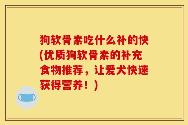 狗软骨素吃什么补的快(优质狗软骨素的补充食物推荐，让爱犬快速获得营养！)