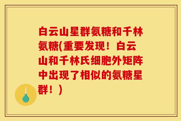白云山星群氨糖和千林氨糖(重要发现！白云山和千林氏细胞外矩阵中出现了相似的氨糖星群！)