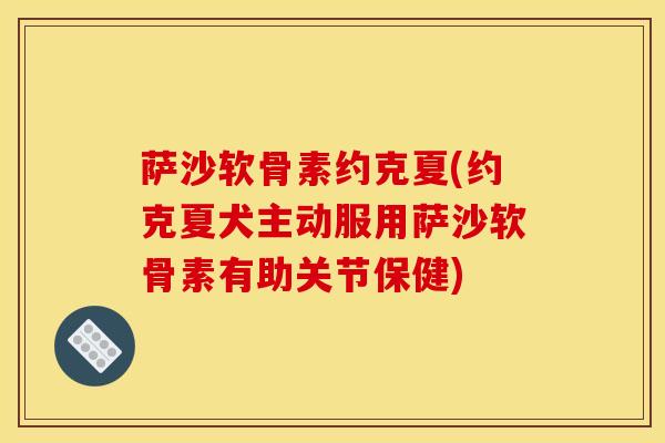 萨沙软骨素约克夏(约克夏犬主动服用萨沙软骨素有助关节保健)