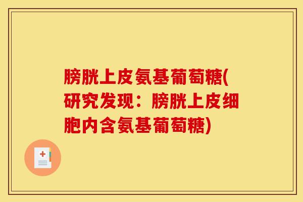 膀胱上皮氨基葡萄糖(研究发现：膀胱上皮细胞内含氨基葡萄糖)