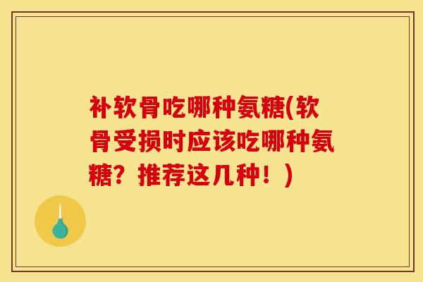 补软骨吃哪种氨糖(软骨受损时应该吃哪种氨糖？推荐这几种！)
