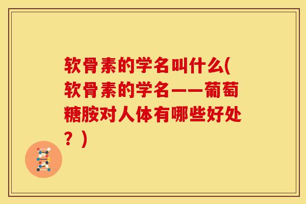 软骨素的学名叫什么(软骨素的学名——葡萄糖胺对人体有哪些好处？)