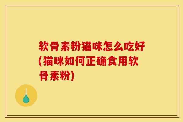 软骨素粉猫咪怎么吃好(猫咪如何正确食用软骨素粉)