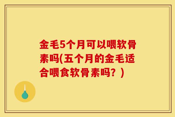 金毛5个月可以喂软骨素吗(五个月的金毛适合喂食软骨素吗？)