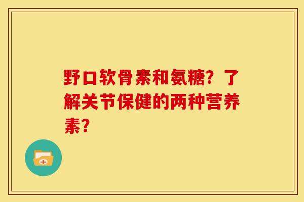 野口软骨素和氨糖？了解关节保健的两种营养素？