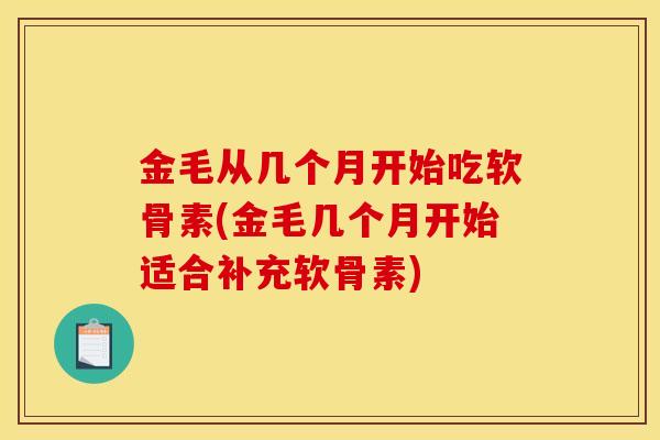 金毛从几个月开始吃软骨素(金毛几个月开始适合补充软骨素)