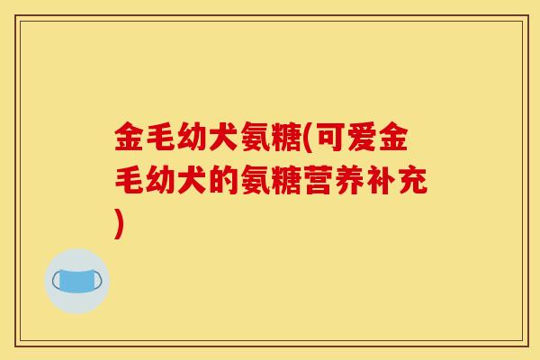 金毛幼犬氨糖(可爱金毛幼犬的氨糖营养补充)