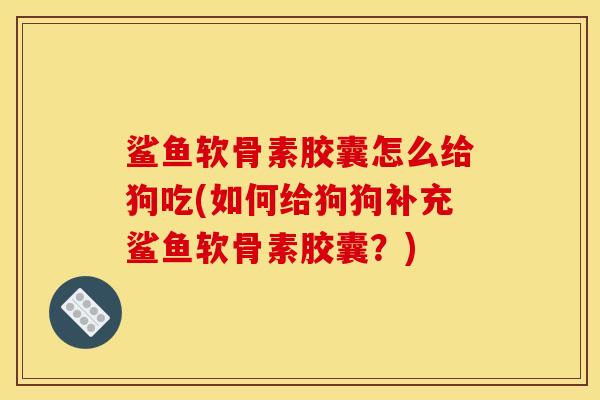 鲨鱼软骨素胶囊怎么给狗吃(如何给狗狗补充鲨鱼软骨素胶囊？)