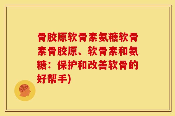 骨胶原软骨素氨糖软骨素骨胶原、软骨素和氨糖：保护和改善软骨的好帮手)