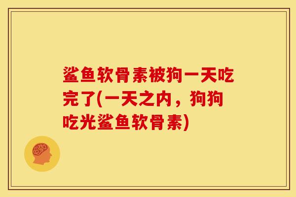 鲨鱼软骨素被狗一天吃完了(一天之内，狗狗吃光鲨鱼软骨素)