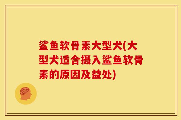 鲨鱼软骨素大型犬(大型犬适合摄入鲨鱼软骨素的原因及益处)