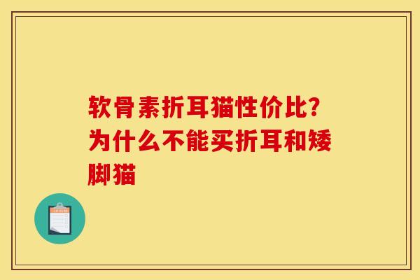 软骨素折耳猫性价比？为什么不能买折耳和矮脚猫