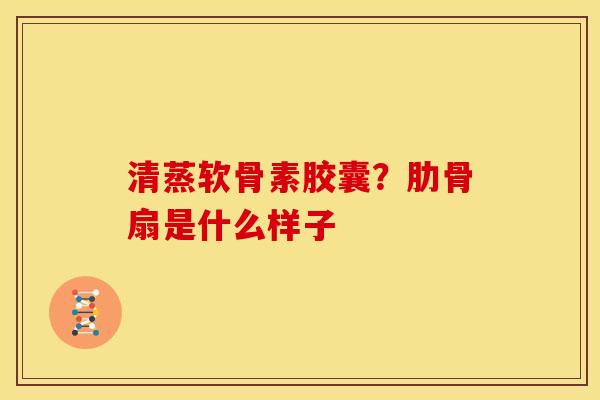 清蒸软骨素胶囊？肋骨扇是什么样子