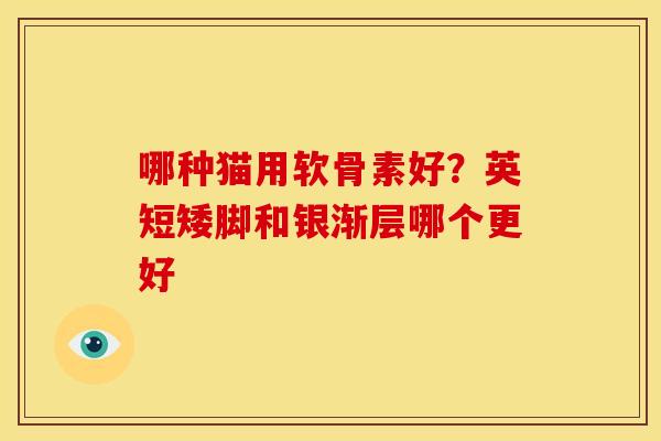 哪种猫用软骨素好？英短矮脚和银渐层哪个更好