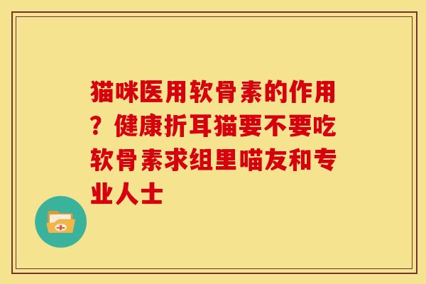 猫咪医用软骨素的作用？健康折耳猫要不要吃软骨素求组里喵友和专业人士