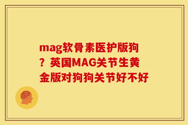 mag软骨素医护版狗？英国MAG关节生黄金版对狗狗关节好不好