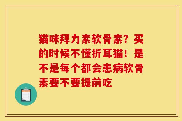 猫咪拜力素软骨素？买的时候不懂折耳猫！是不是每个都会患病软骨素要不要提前吃