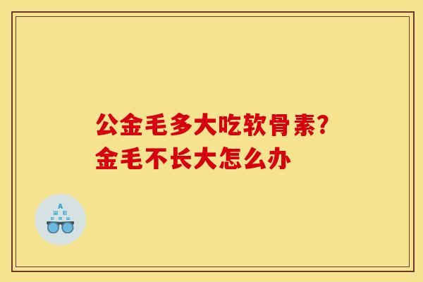 公金毛多大吃软骨素？金毛不长大怎么办