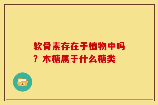 软骨素存在于植物中吗？木糖属于什么糖类