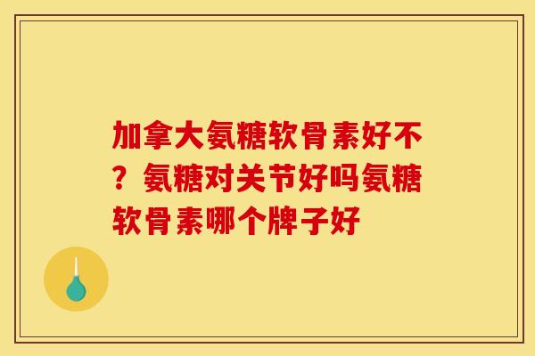 加拿大氨糖软骨素好不？氨糖对关节好吗氨糖软骨素哪个牌子好