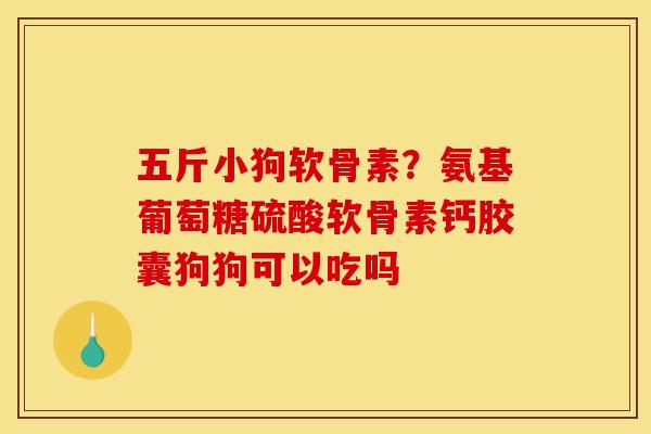五斤小狗软骨素？氨基葡萄糖硫酸软骨素钙胶囊狗狗可以吃吗